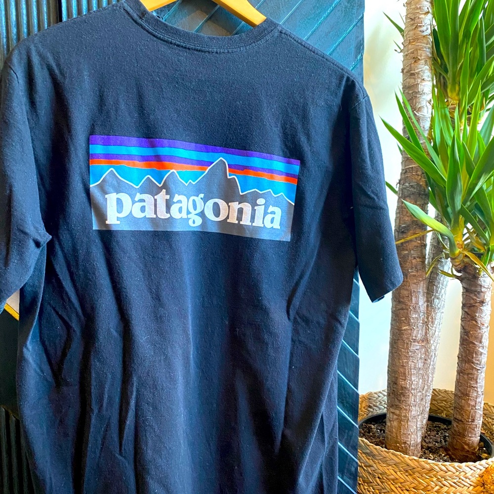 PATAGONIA MENS GRAPHIC TEE MED